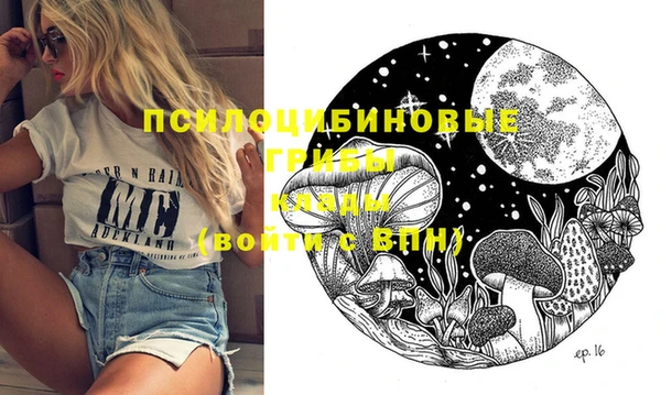 бошки Лабытнанги