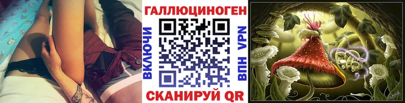 блэк спрут как зайти  купить наркотик  Шилка  Галлюциногенные грибы Psilocybe 