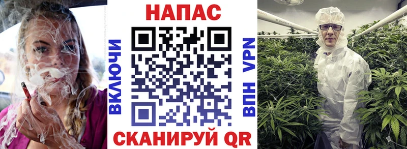 Бошки марихуана THC 21%  мега онион  Шилка 